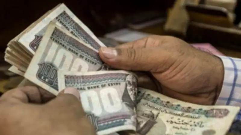 حافز التميز العلمي للموظفين: كيف يمنح القانون مكافآت المؤهلات العليا؟