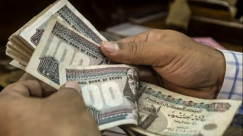 مقترح برلماني بوقف التمويل دون دراسة ائتمانية دقيقة للعملاء