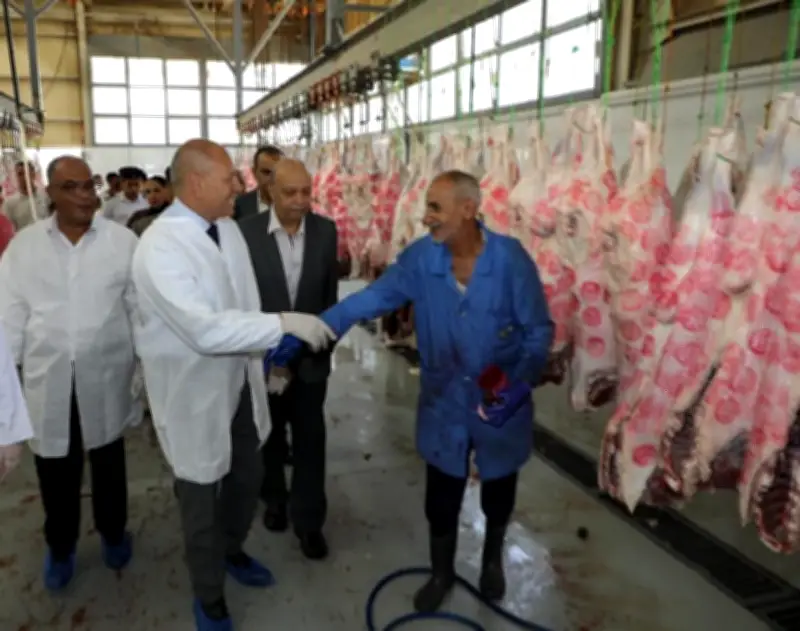 محافظ القاهرة يعلن فتح المجازر المعتمدة بالمجان أمام المواطنين طوال أيام العيد