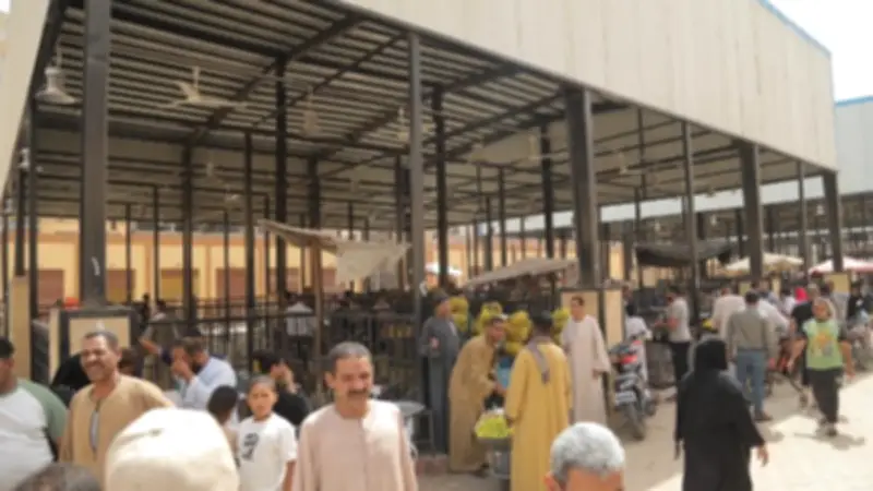 محافظ قنا يقرر إعفاء باعة السوق الحضاري من الإيجار شهرين لدعم استقرارهم