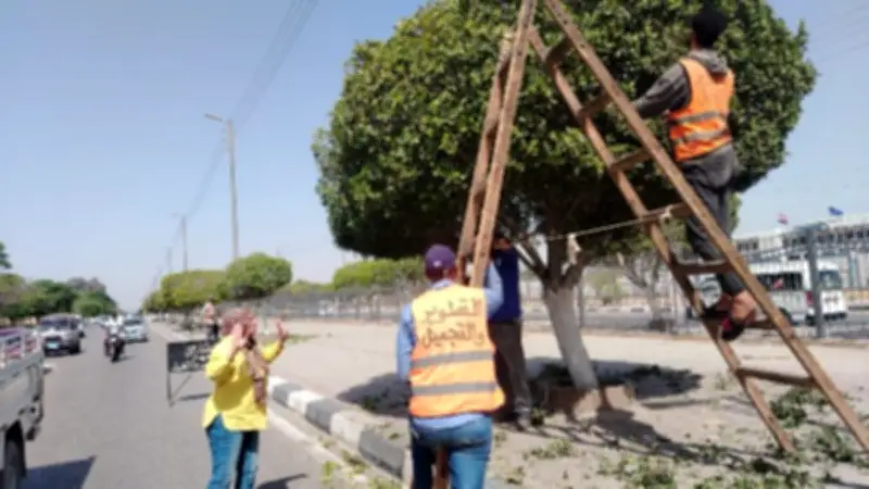 رفع كفاءة وتجميل ميادين الإسماعيلية استعدادًا لعيد الأضحى