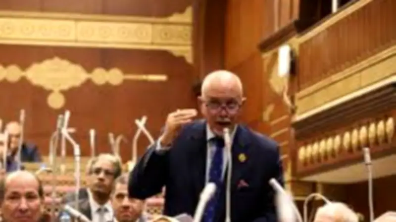 برلماني: الدلتا الجديدة خطوة استراتيجية لتعزيز الأمن الغذائي