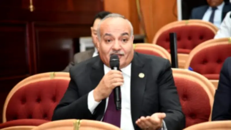 نائب: مشروع الدلتا الجديدة خطوة استراتيجية لتعزيز الأمن الغذائي