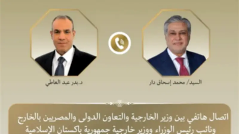 وزير الخارجية يبحث مع نظيره الباكستاني العلاقات الثنائية والتوتر الإقليمي