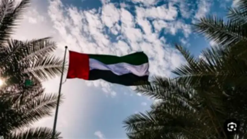 الإمارات تدين استهداف المنطقة المحيطة بمحطة براكة النووية