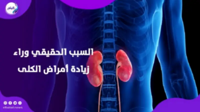 تلوث الهواء يهدد كليتيك: دراسة تكشف علاقة خطيرة