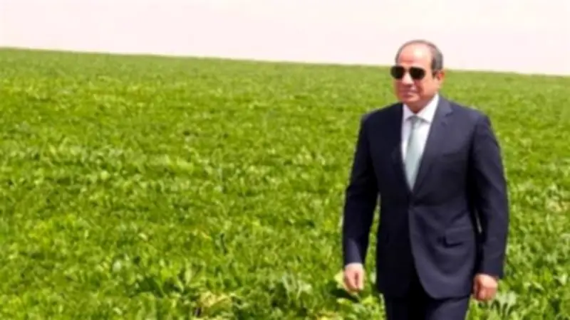 أحمد موسى: الرئيس السيسي صاحب الفضل والقرار في مشروع الدلتا الجديدة