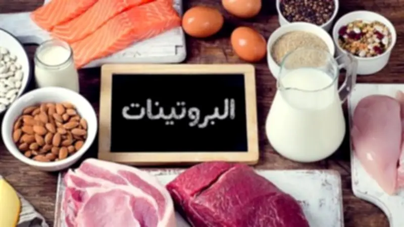 معهد التغذية: تنوع مصادر البروتين أساس الصحة وبناء الجسم السليم