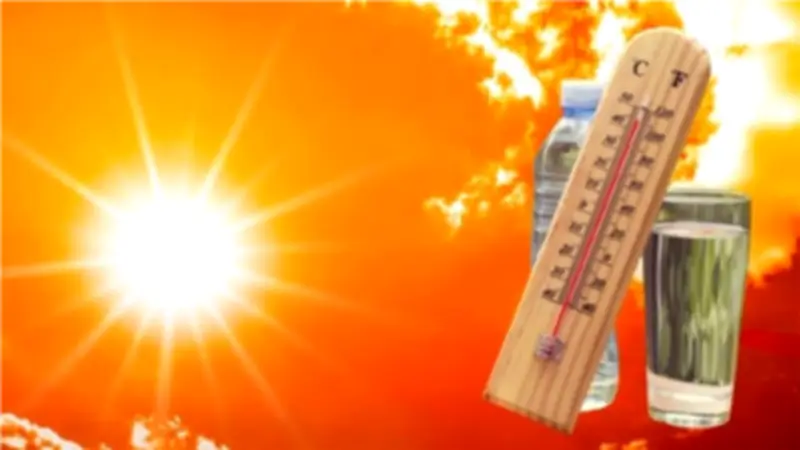 نصائح وزارة الصحة لتجنب ضربات الشمس والإجهاد الحراري وأطعمة ممنوعة