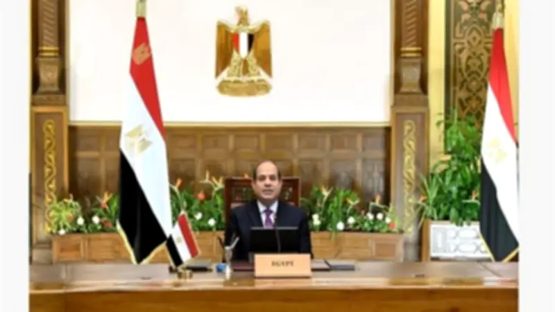 السيسي يوجه بالإسراع في تنفيذ مشروعات الطاقة الجديدة والمتجددة