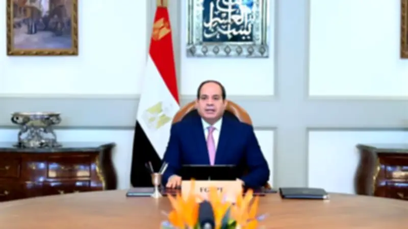 السيسي يتابع الشراكة مع القطاع الخاص في الطاقة المتجددة