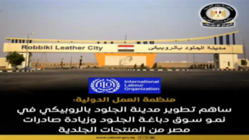 كيف ساهم تطوير مدينة الجلود بالروبيكي في زيادة صادرات مصر؟