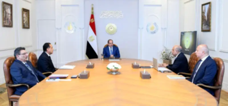 توجيهات السيسي بشأن الكهرباء والطاقة الجديدة إنفوجراف