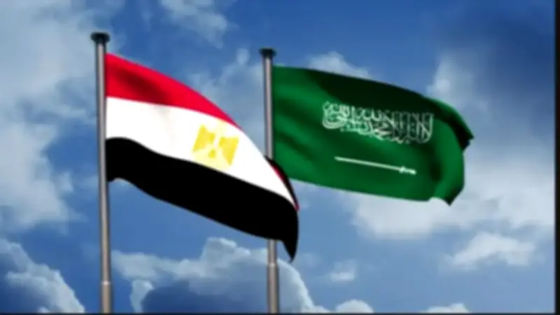 مصر والسعودية تؤكدان التضامن في اتصال رفيع لمواجهة التحديات الإقليمية