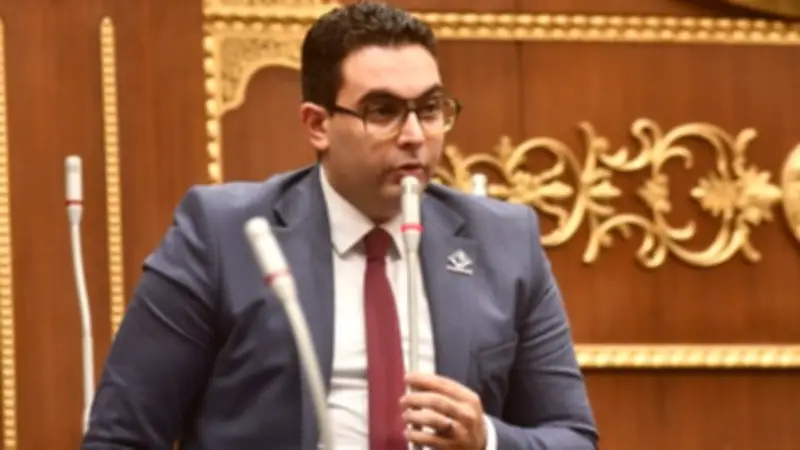 نائب بالشيوخ: حماية حقوق المبدعين ضرورة لدعم القوة الناعمة المصرية