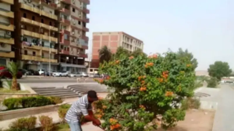 جهود مكثفة بأسوان لتحسين النظافة والمظهر الحضاري في المحافظة