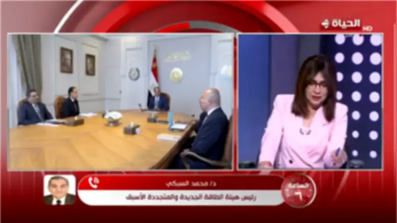 السبكي: التوسع في الطاقة المتجددة يوفر كهرباء ويحمي البيئة