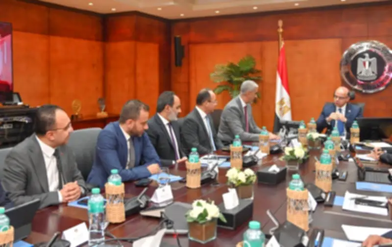 وزير الاستثمار يبحث مع وفد مايكروسوفت مصر تعزيز التحول الرقمي والتجارة الإلكترونية