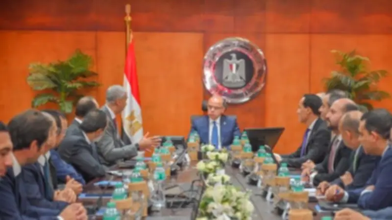 وزير الاستثمار يبحث مع فودافون تسريع التحول الرقمي لتطوير التجارة