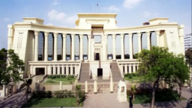 المحكمة الدستورية ترفض الطعن على مواد من قانون العقوبات