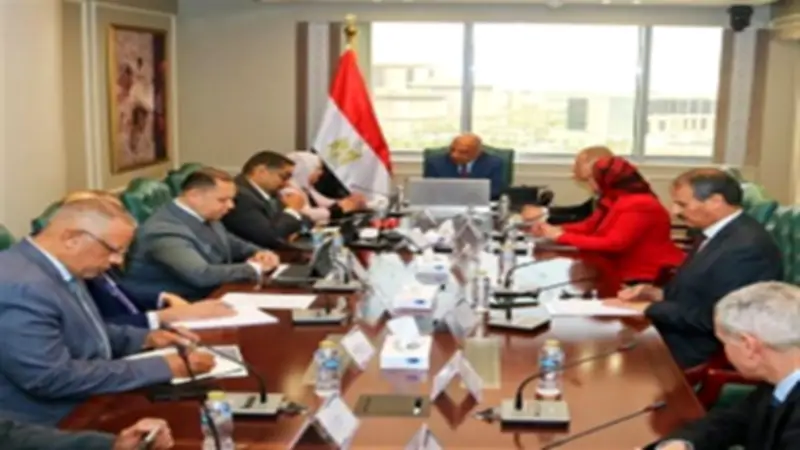 وزير الكهرباء: مشروعات الربط الكهربائي لتحويل مصر لمركز إقليمي للطاقة