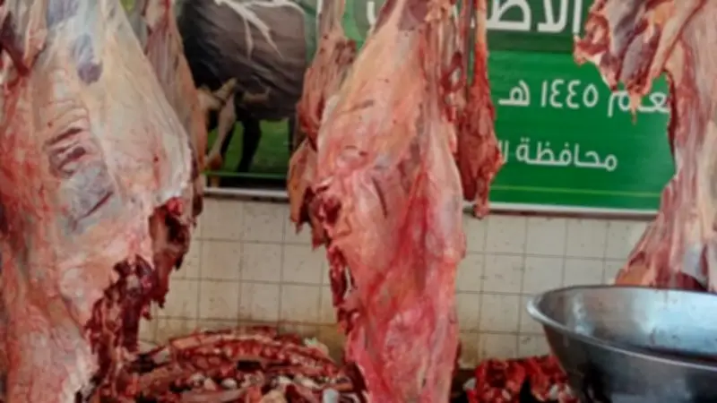 طوارئ في الجيزة لاستقبال عيد الأضحى.. فتح المجازر بالمجان ووقف إجازات البيطريين