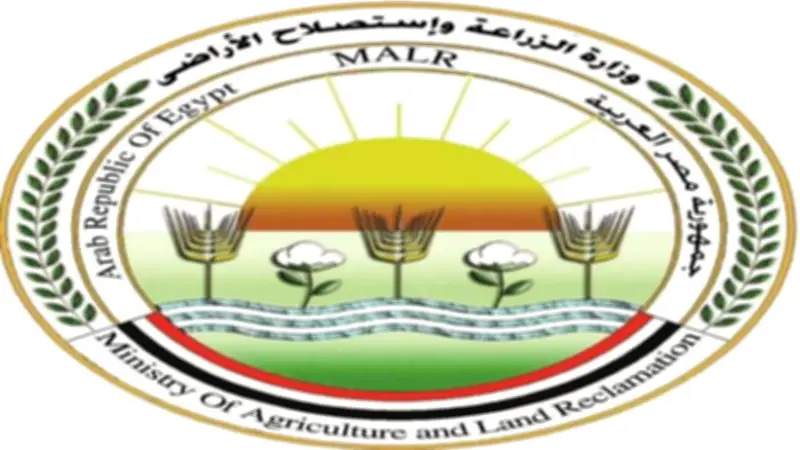 الزراعة: انفراجة مرتقبة في أسعار الطماطم بالأسواق خلال الفترة المقبلة