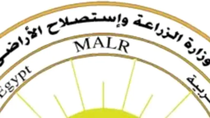 الزراعة تطمئن: انخفاض أسعار الطماطم خلال أيام والعروة الجديدة قريبًا