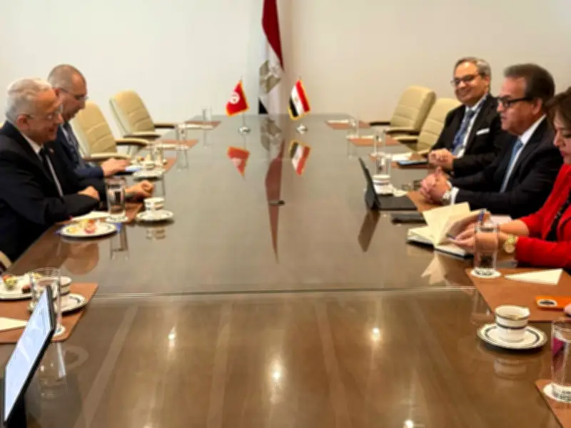 مصر وتونس تعززان التعاون في مكافحة الأوبئة ودعم الأمن الصحي
