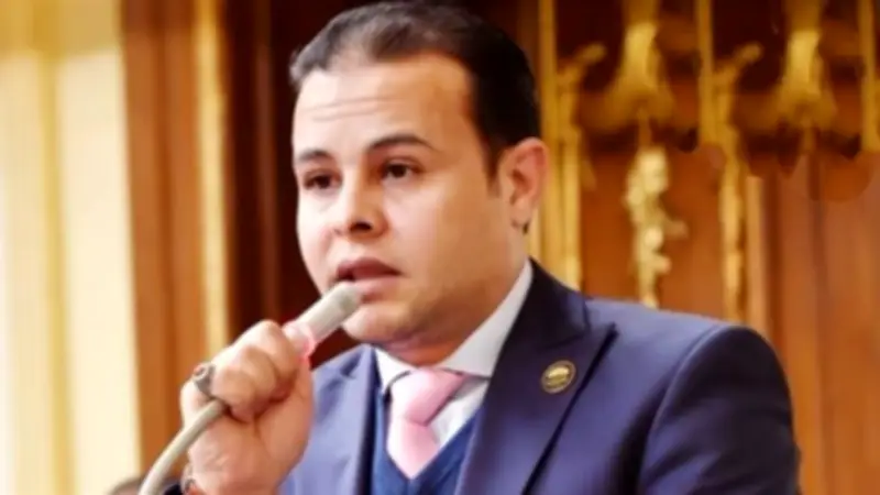 عضو صناعة النواب: الدلتا الجديدة نقلة استراتيجية لبناء اقتصاد إنتاجي وتمكين الشباب