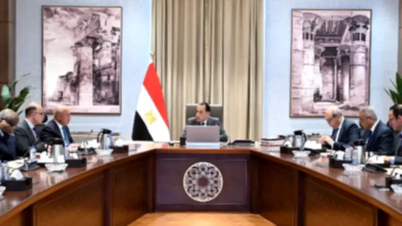 مصر تضع تعزيز الروابط مع الدول الإفريقية على رأس أولوياتها