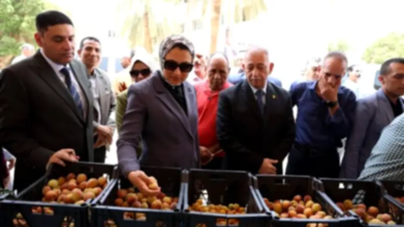حنان مجدي: التوسع في مبادرة «معًا ضد الغلاء» لتخفيف الأعباء عن المواطنين