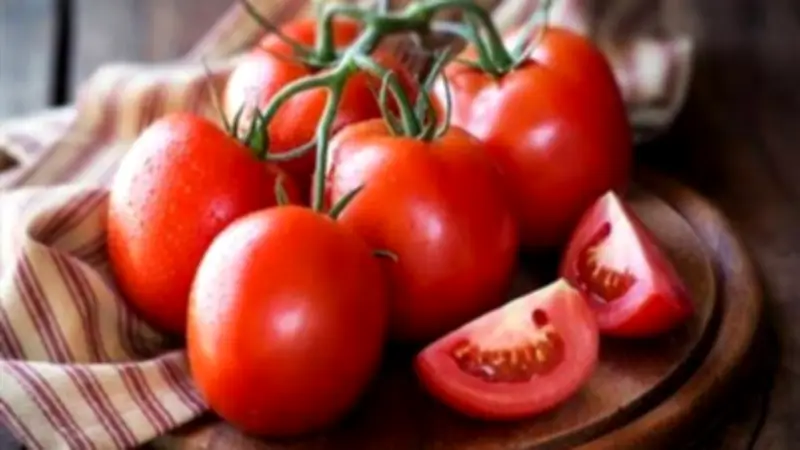عبد الحميد حبشي: أزمة الطماطم سببها فاصل العروات وليس التخزين