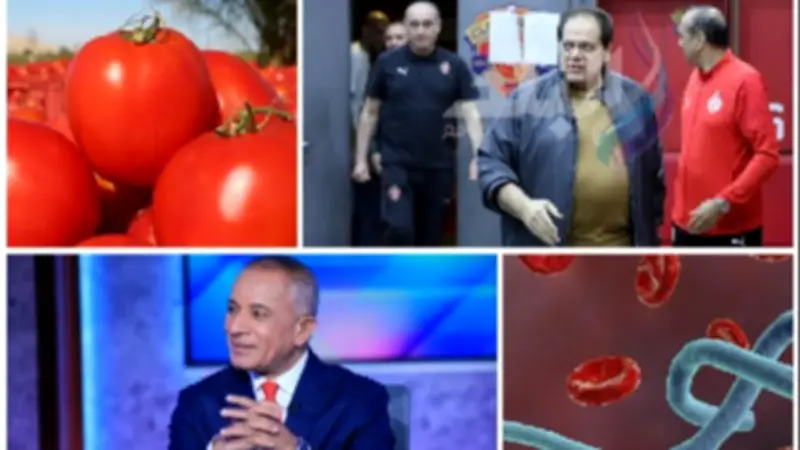 أبرز أخبار التوك شو: أحمد موسى يعلق على أبو العينين والصحة تنفي إيبولا