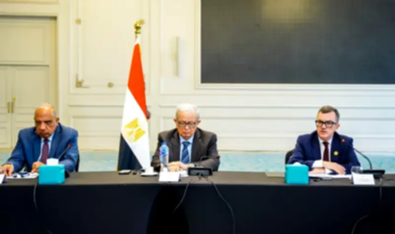 نائب رئيس الوزراء: الاقتصاد المصري يحتاج لمزيد من المشروعات في البنية التحتية