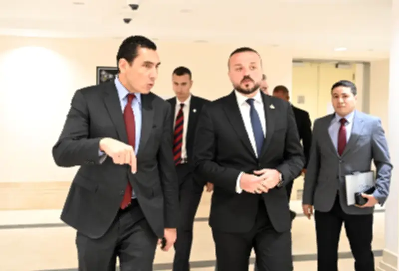 وزير الرياضة يلتقي لجنة المشروعات الصغيرة بمجلس النواب لتعزيز التعاون