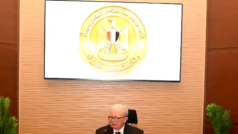نائب رئيس الوزراء: الحكومة تقدم تسهيلات لتوسع الاستثمارات الأجنبية في مصر