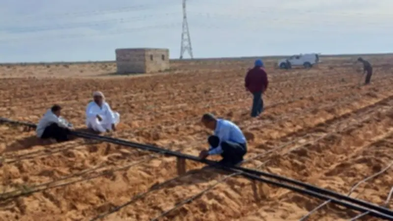 بحوث الصحراء ينفذ حقولاً إرشادية في مطروح لمواجهة التغيرات المناخية