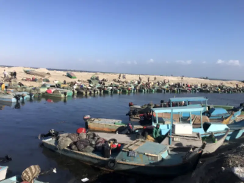 انطلاق موسم الصيد ببحيرة البردويل بعد تطوير شامل لدعم الثروة السمكية