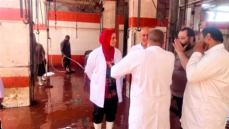 رفع الاستعداد بمجازر الغربية لاستقبال عيد الأضحى