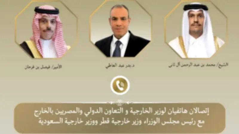 وزير الخارجية يبحث مع نظيريه السعودي والقطري التطورات الإقليمية