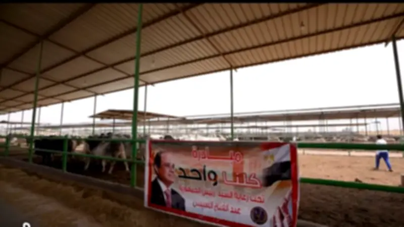 مبادرة كلنا واحد تطرح لحوم وسلع غذائية بأسعار مخفضة في عيد الأضحى