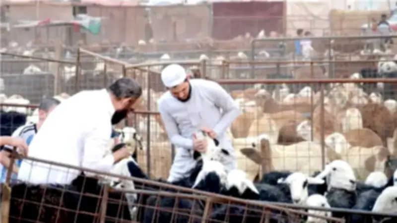 حكم الإمساك عن الشعر والأظفار لمن يجمع بين الحج والأضحية