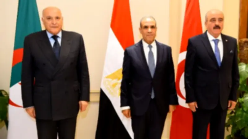 وزراء خارجية مصر وتونس والجزائر يؤكدون دعم وحدة ليبيا وإجراء الانتخابات