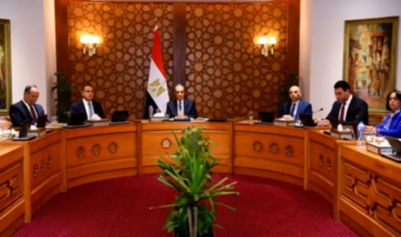 خروج المختصة: وزراء خارجية مصر وتونس والجزائر يصدرون بيانا حول ليبيا