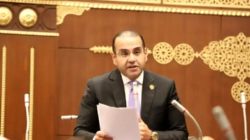 المنزلاوي: الدبلوماسية المصرية تحمي الأمن القومي العربي برؤية شاملة