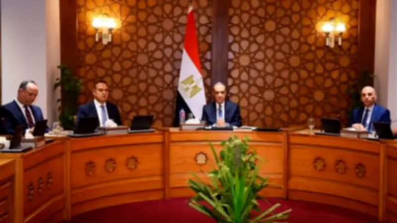 اجتماع ثلاثي لوزراء خارجية مصر وتونس والجزائر يؤكد على وحدة ليبيا