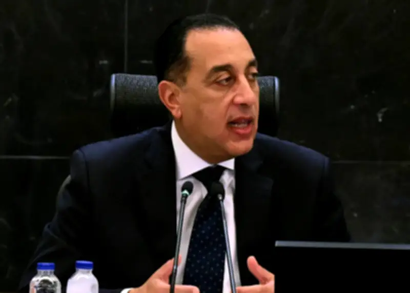 مجلس الوزراء: الدلتا الجديدة تضاعف الإنتاج وتعزز مسار التنمية