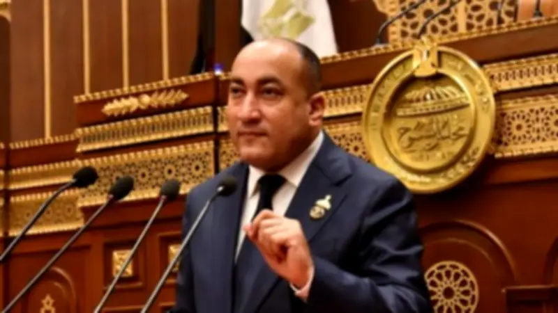 النائب عمرو رشاد يثمن استجابة التأمينات لصرف المعاشات يدويا قبل عيد الأضحى