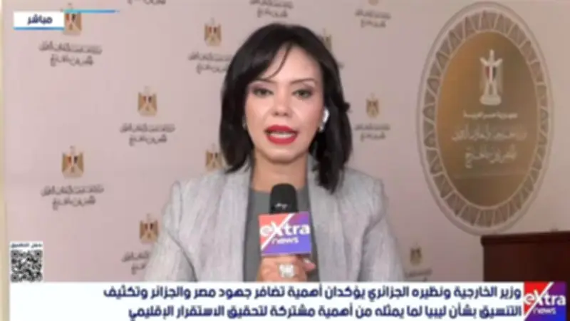 الحل السياسي السبيل الوحيد لإنهاء الأزمة الليبية.. تفاصيل الاجتماع الوزاري الرابع لدول الجوار
